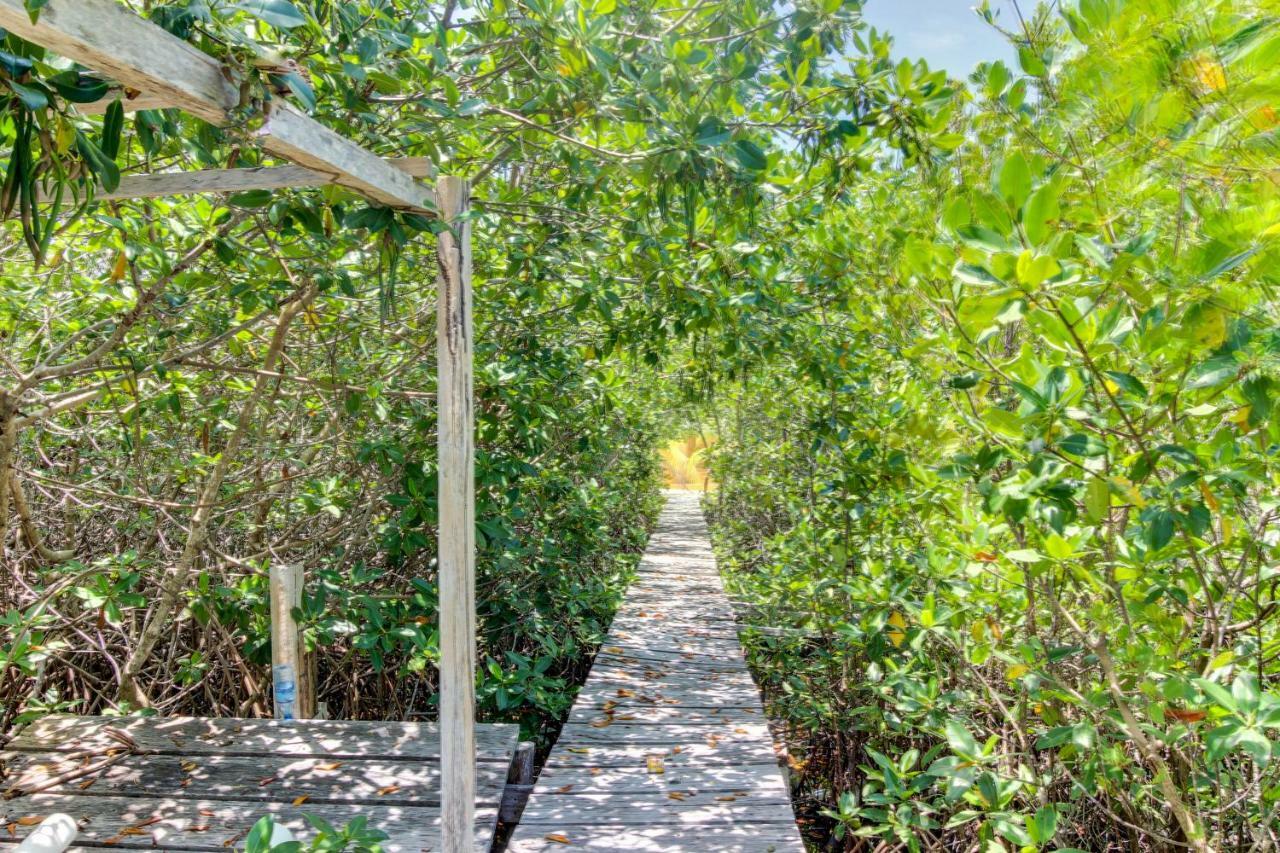 La Casa Pura Vida Villa San Pedro  Kültér fotó