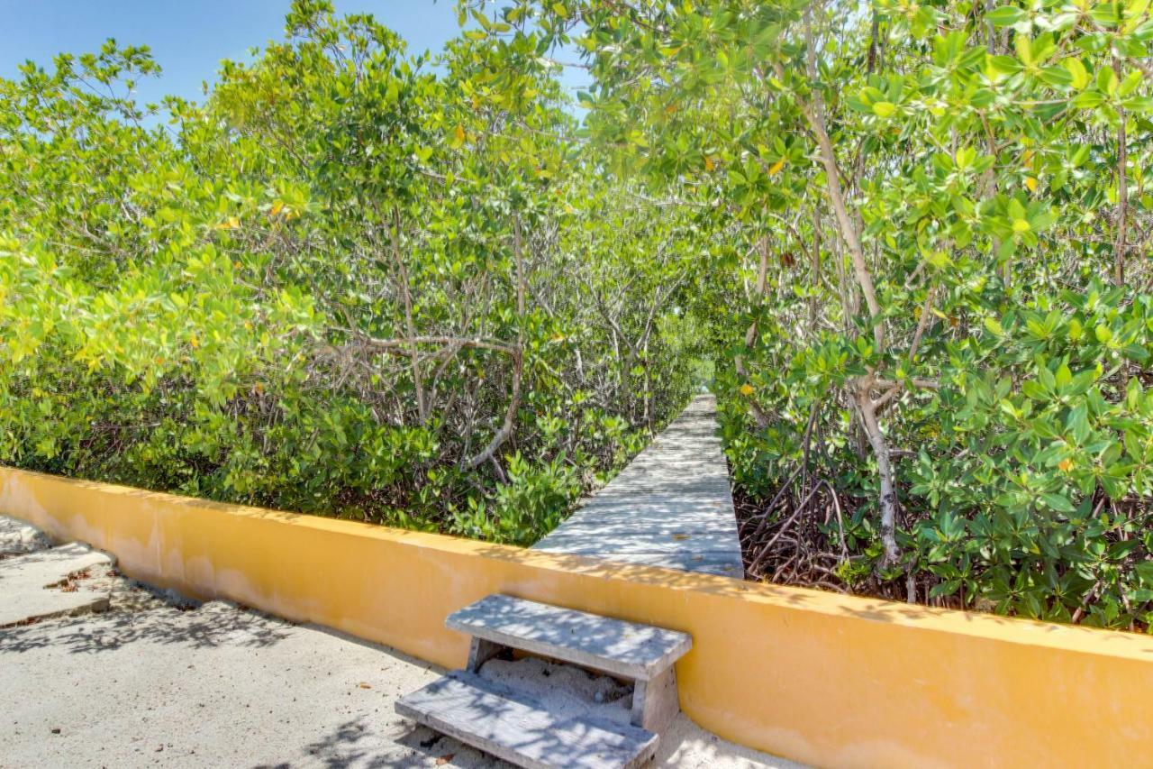 La Casa Pura Vida Villa San Pedro  Kültér fotó